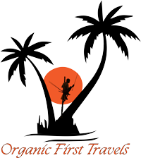 Green Holiday Travels