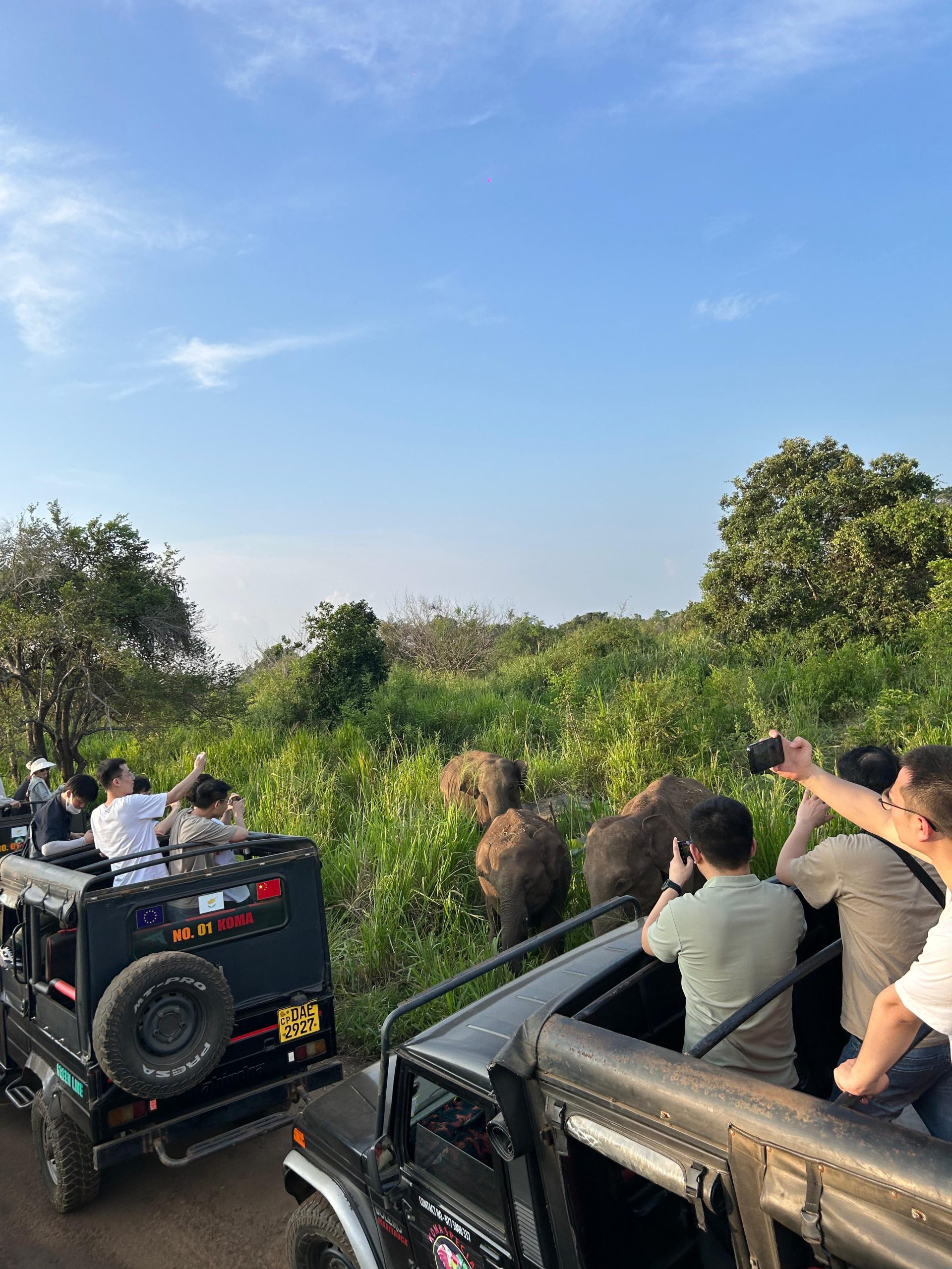 🌿 Nature & Wildlife